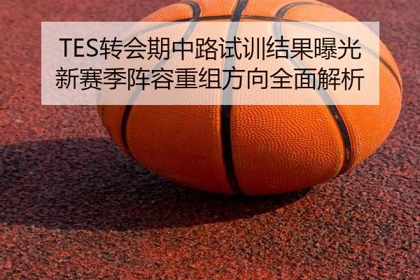 TES转会期中路试训结果曝光 新赛季阵容重组方向全面解析
